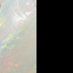 pastille blanc nacré et noir